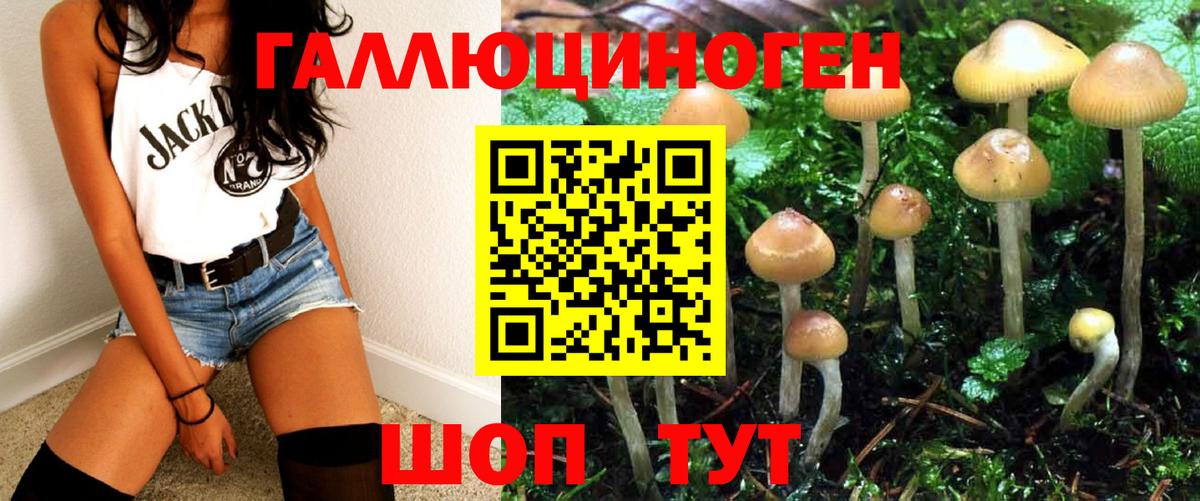 Псилоцибиновые грибы Psilocybine cubensis  Вход с VPN  Туймазы 